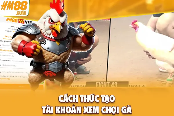 Cách thức tạo tài khoản xem chọi gà